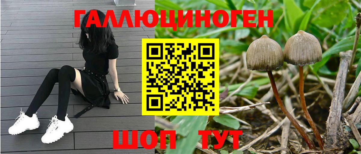 Псилоцибиновые грибы MAGIC MUSHROOMS Гусь-Хрустальный