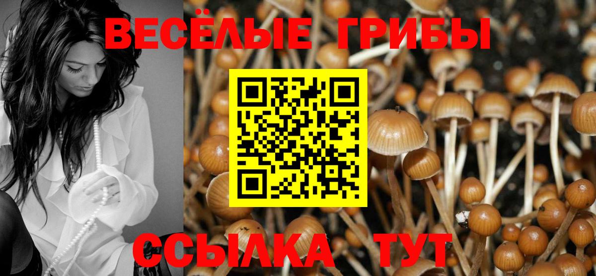 Гусь-Хрустальный  Галлюциногенные грибы Cubensis  Вход с VPN  Галлюциногенные грибы Psilocybine cubensis 